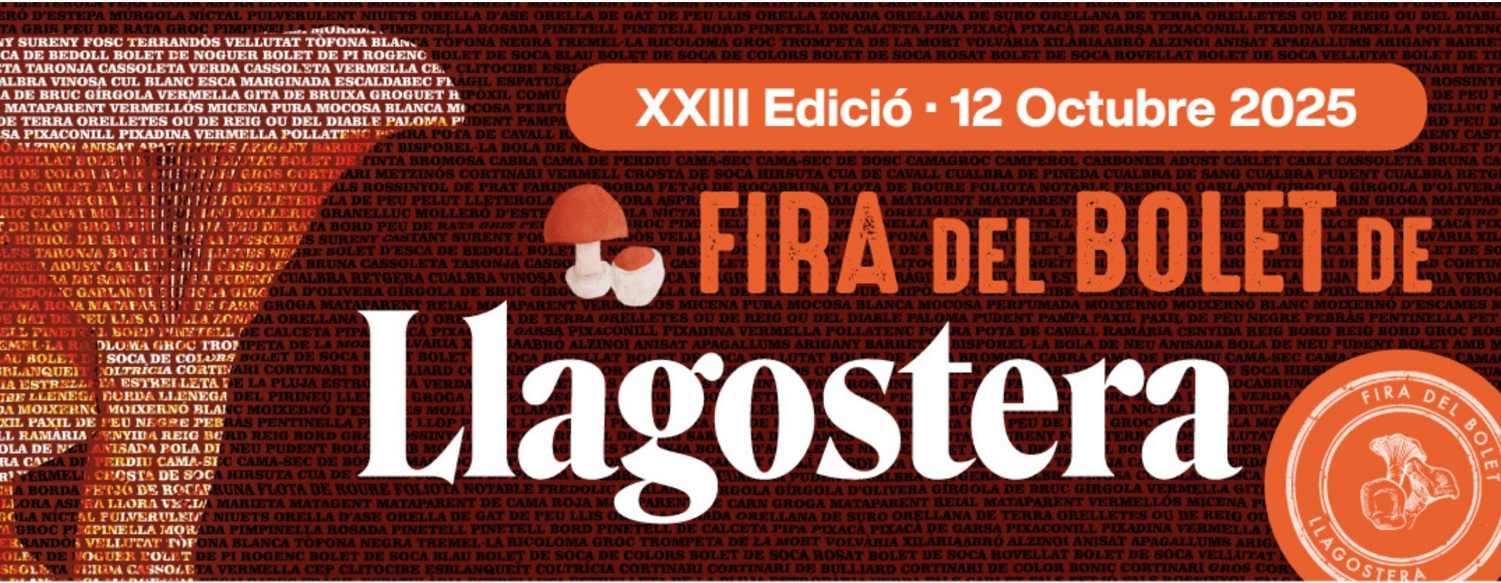 fullslide1