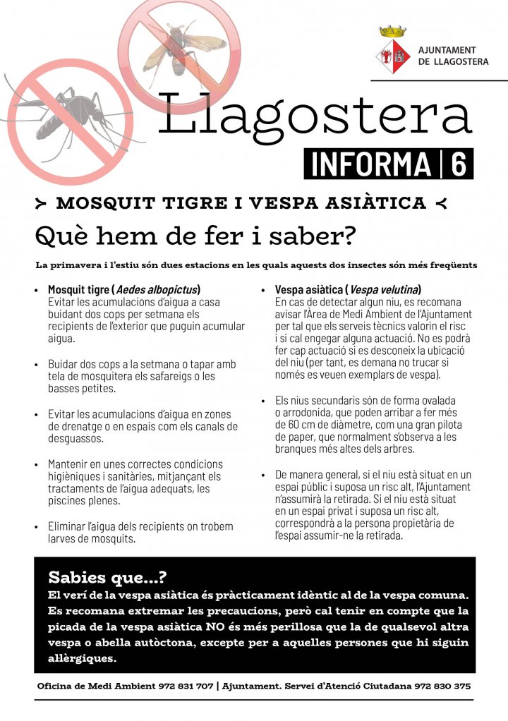 Llagostera Informa 6