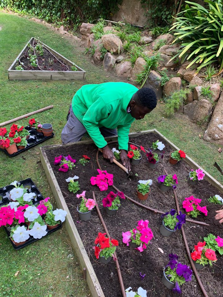 PTT d’Auxiliar de vivers i jardins