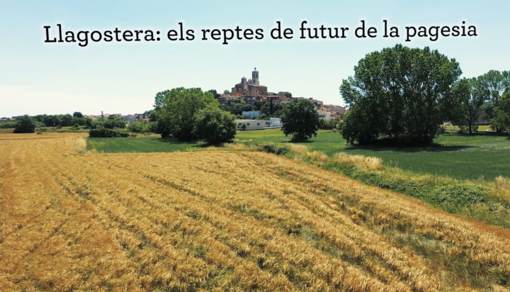 Documental Llagostera, reptes de futur de la pagesia