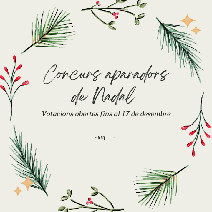 Concurs d’aparadors de Nadal