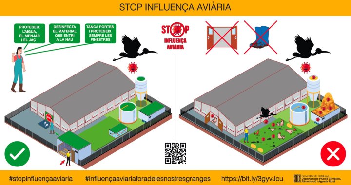 Mesures contra la grip aviària