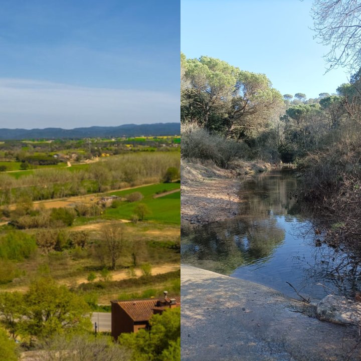 Medi Natural i Rural 