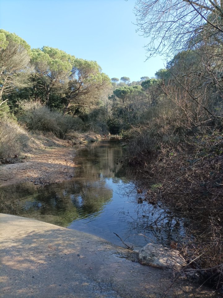 Pla Especial municipal d'Infraestructura Verda (PEMIV) a Llagostera