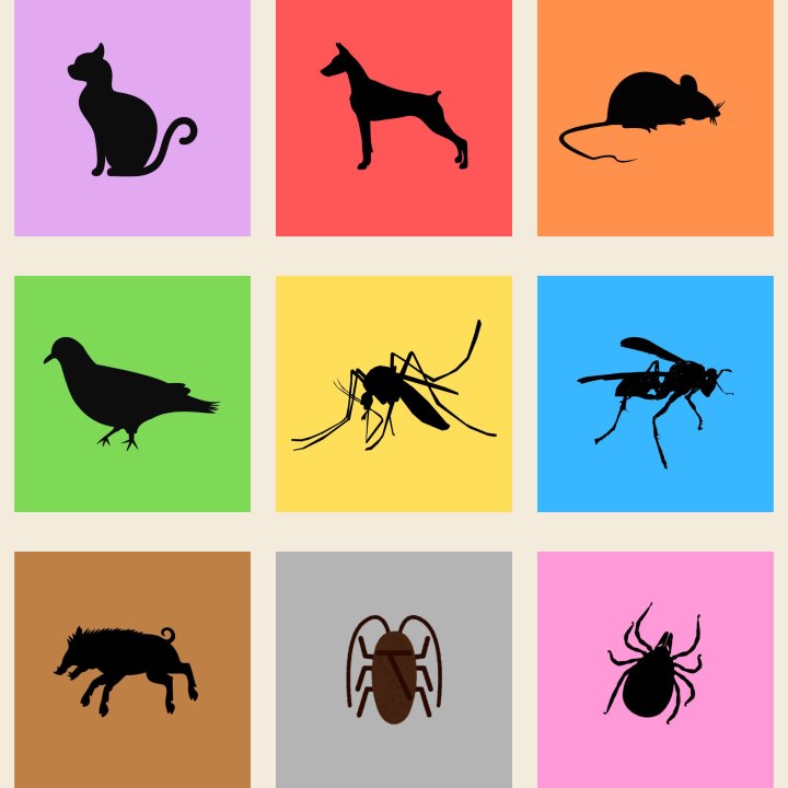 Animals i plagues