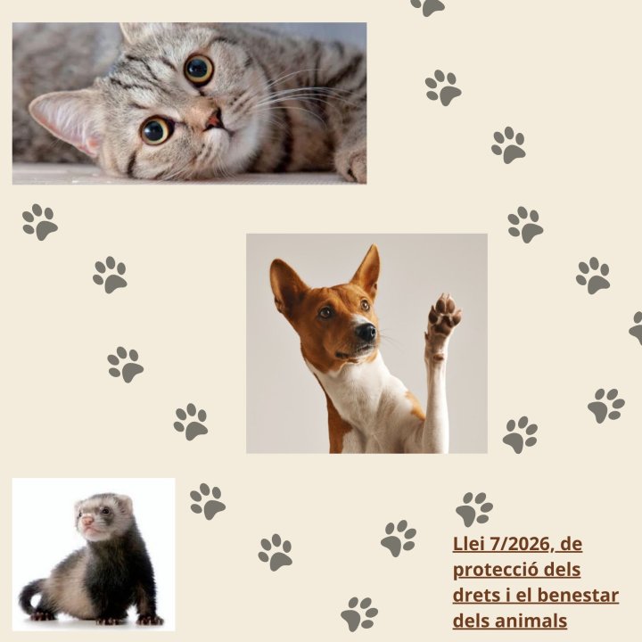 Benestar animal 
