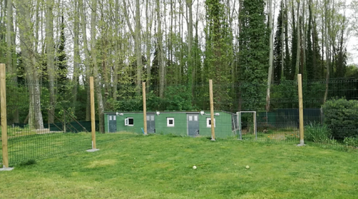 Recollida d'animals abandonats i adopcions