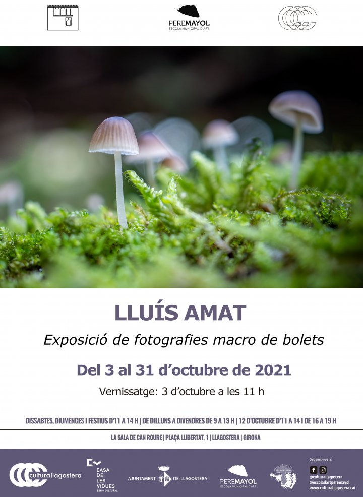 Cartell expo Cartell expo