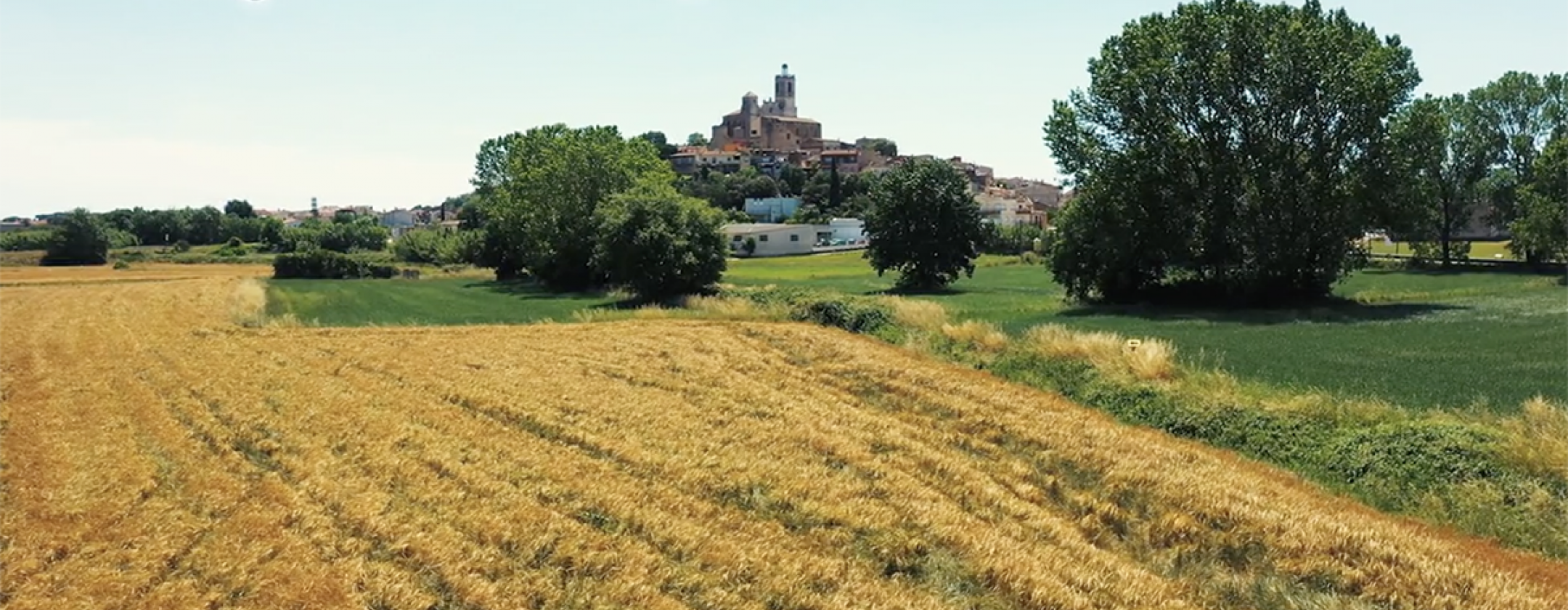 Documental Llagostera reptes de futur de la pagesia